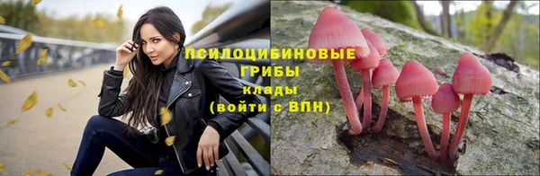 молекула духа Балабаново