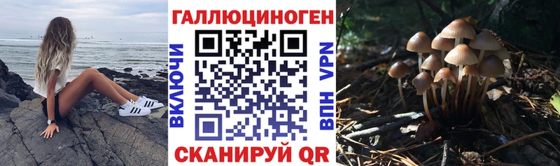 сколько стоит  Вихоревка  Псилоцибиновые грибы Magic Shrooms 